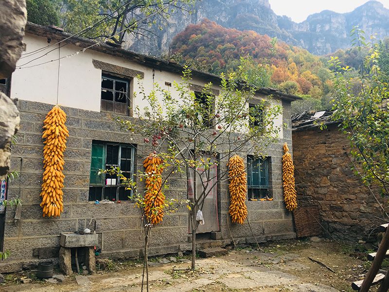 基地风景